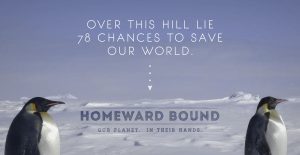 78-chances-to-save-our-world