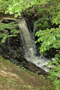 Lovely little waterfall immediately outside my room. Hmm, but the sound of running water while asleep is never good.