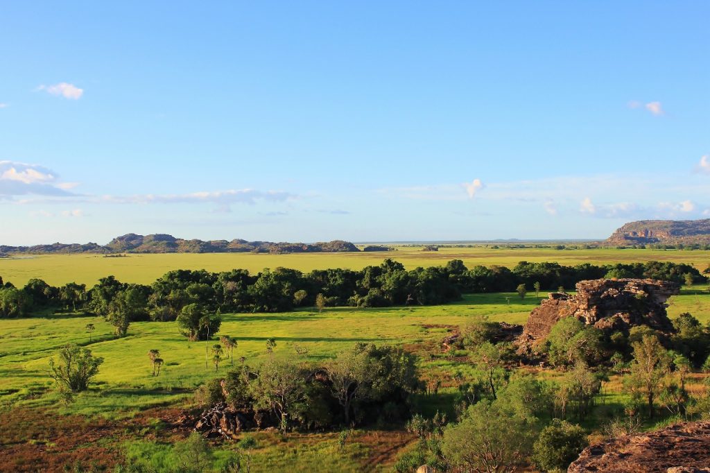 View across the Nardab (fresh water) wetlands from Ubirr lookout.